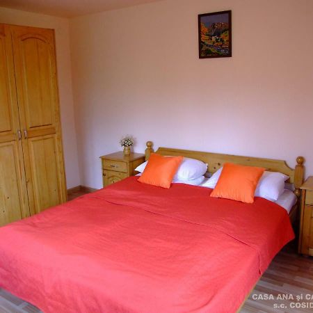 Villa Casa Andrei Vatra Dornei à Dealu Floreni Extérieur photo