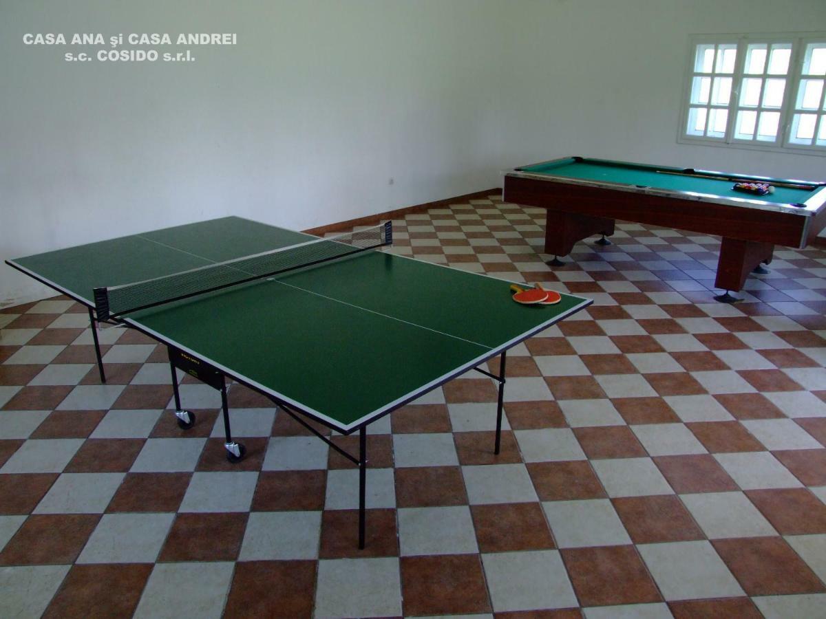 Villa Casa Andrei Vatra Dornei à Dealu Floreni Extérieur photo