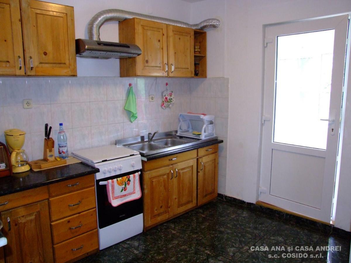 Villa Casa Andrei Vatra Dornei à Dealu Floreni Extérieur photo