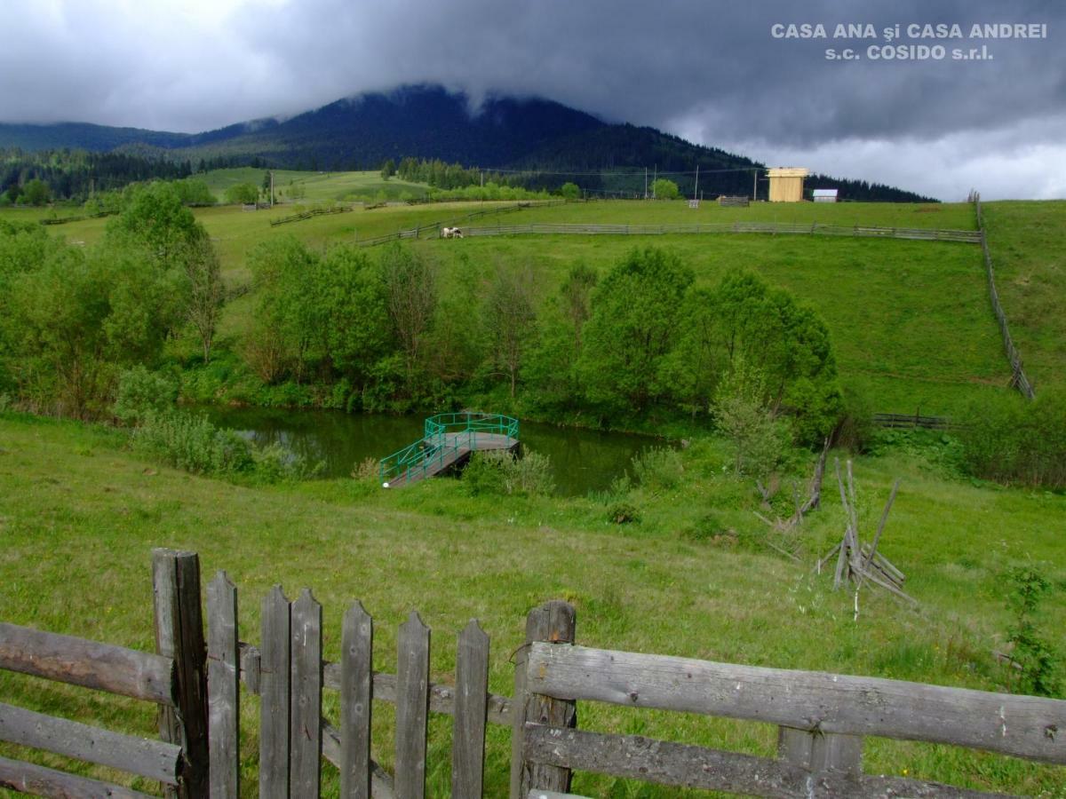 Villa Casa Andrei Vatra Dornei à Dealu Floreni Extérieur photo
