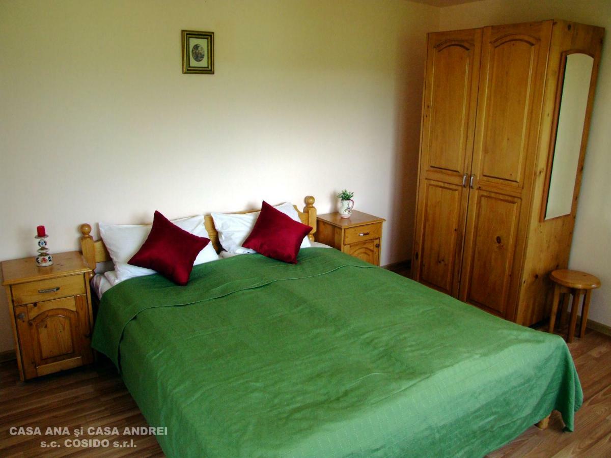 Villa Casa Andrei Vatra Dornei à Dealu Floreni Extérieur photo